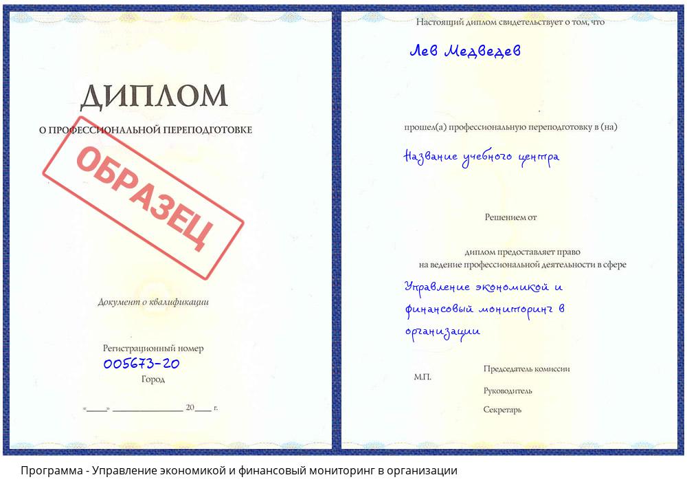 Управление экономикой и финансовый мониторинг в организации Лиски