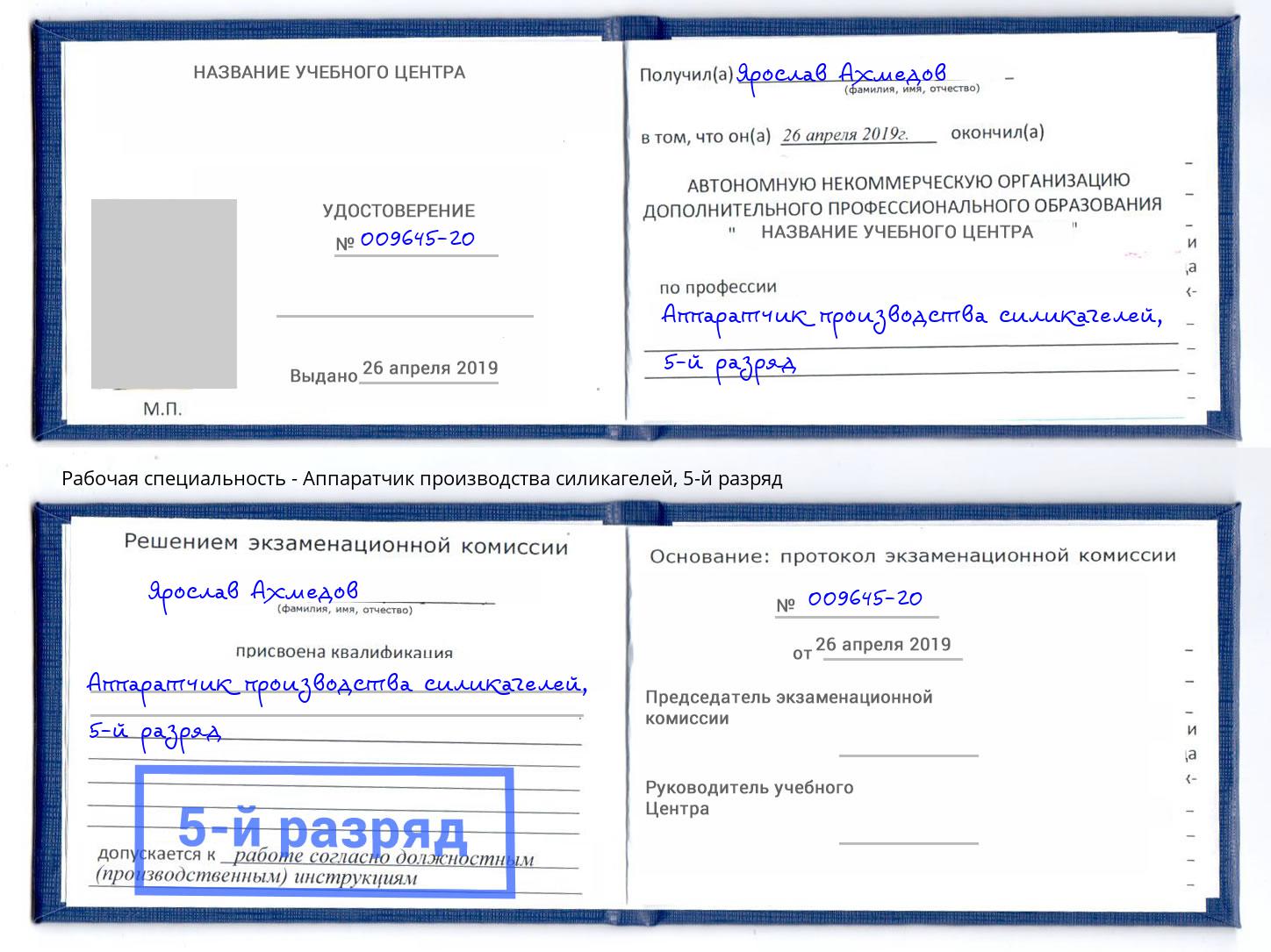 корочка 5-й разряд Аппаратчик производства силикагелей Лиски