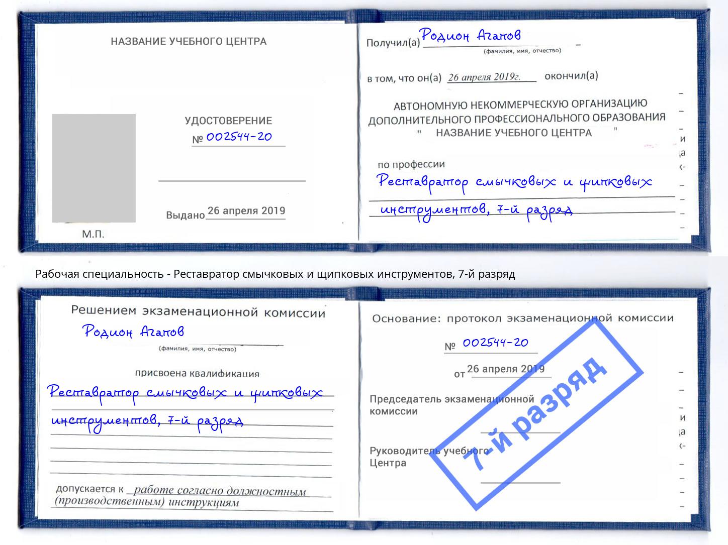 корочка 7-й разряд Реставратор смычковых и щипковых инструментов Лиски