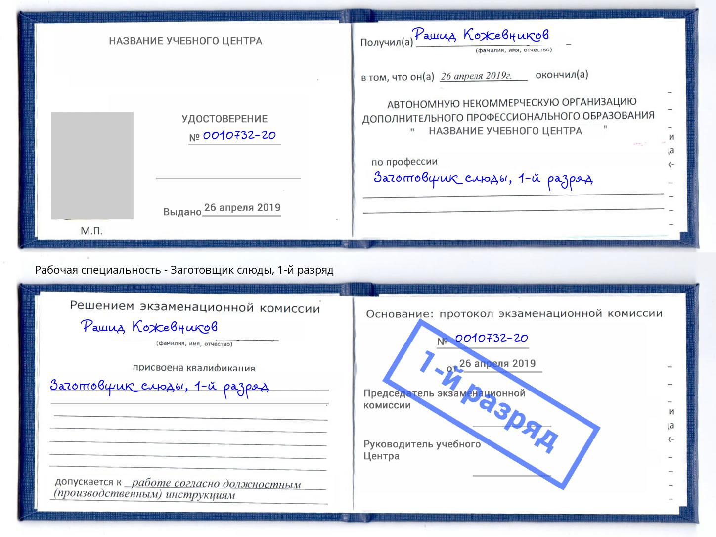корочка 1-й разряд Заготовщик слюды Лиски